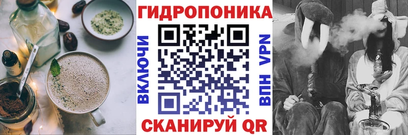 дарнет шоп  Озёрск  Cannafood марихуана 