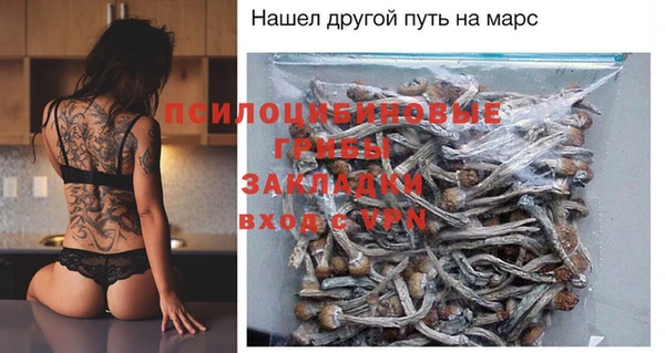 соль курить ск Белокуриха