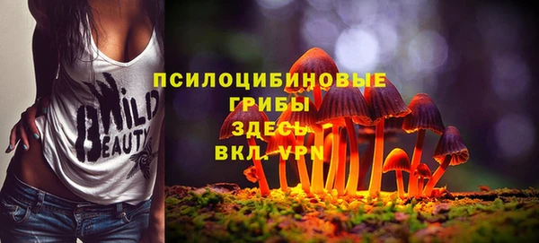 соль курить ск Белокуриха