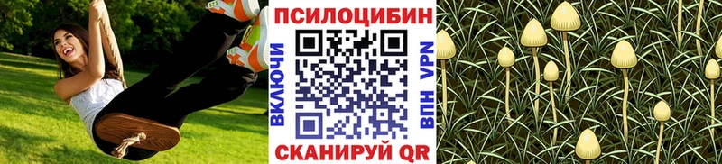 Галлюциногенные грибы MAGIC MUSHROOMS  hydra   Озёрск 